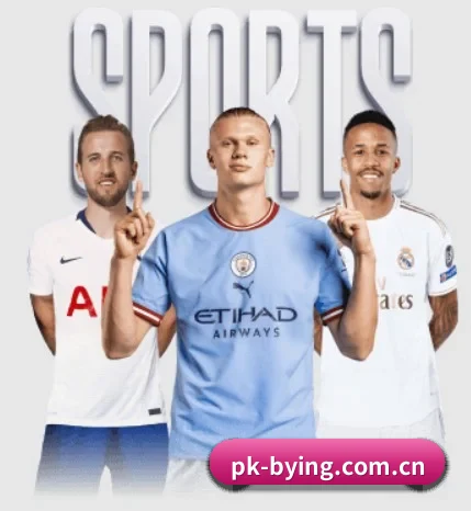 pk-bying.com.cn的故事